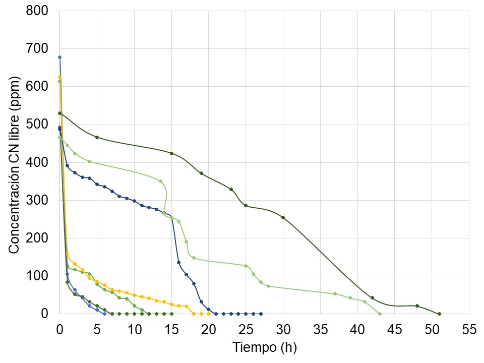 Comportamiento de la reducción del cianuro libre durante el tratamiento con Ozono a diferentes concentraciones iniciales (> 450 ppm).